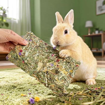 Abizoo Rabbit Chew Treats 8 Pack, 8.66 x 4.72 inch Large Timothy Hay Chips