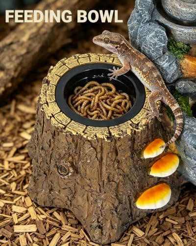 Reptile Water Fountain 700ML with Food Dish for Geckos, Bearded Dragons