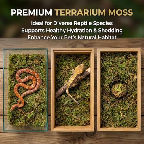 Sukh Sphagnum Moss for Reptiles - Terrarium Reptile Moss Substrate, 6.3 OZ