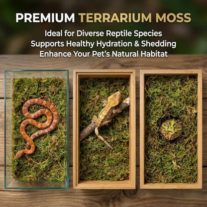 Sukh Sphagnum Moss for Reptiles - Terrarium Reptile Moss Substrate, 6.3 OZ