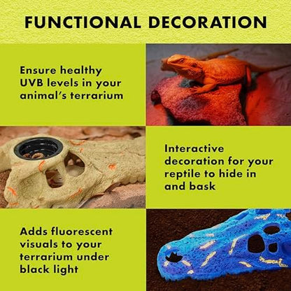 Zilla Rapid Sense UV Detecting Terrarium Decor, Crocodile Skull, Medium