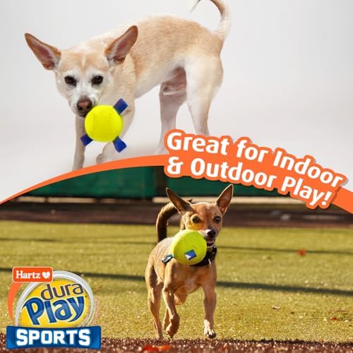 Hartz Dura Play Sports Ball Variety Dog Toy, Bacon Scented Squeaky Latex Yellow & Blue Toy, 3 Count