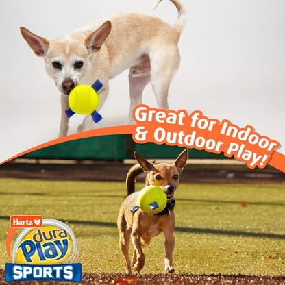Hartz Dura Play Sports Ball Variety Dog Toy, Bacon Scented Squeaky Latex Yellow & Blue Toy, 3 Count