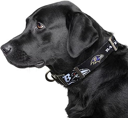 Littlearth NFL Detroit Lions Pet Premium Collar, Team Color, Small