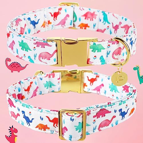 Dinosaur Summer Cotton Dog Collar with Metal Buckle Gift Collar for Small Medium Large Girls or Boys Dogs Cute Durable Comfortable Pet Collars