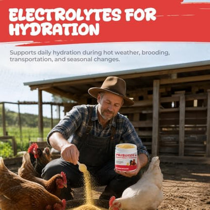 Chicken Electrolyte, Vitamin & Probiotic Supplement for Water & Hydration