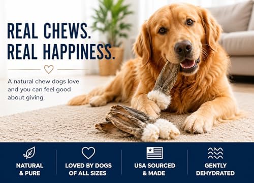 Dehydrated Rabbit Ears for Dogs & Cats - Single Ingredient Dog Treats - USA Sourced Whole Rabbit Ears with Fur for Dogs - Rawhide Alternative - Made in USA (12 Count)