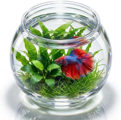 POPETPOP Plastic Aquarium Betta Fish Tank 1 Gallon Clear Goldfish Bowl Unbreakable Round Fish Vases Bowl for Home décor Wedding Event Party Goldfish Lovers