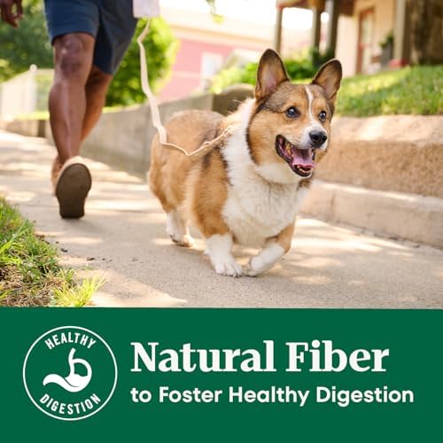 Nutro Natural Choice Dry Dog Food, Salmon & Brown Rice Recipe, 4.5 lb