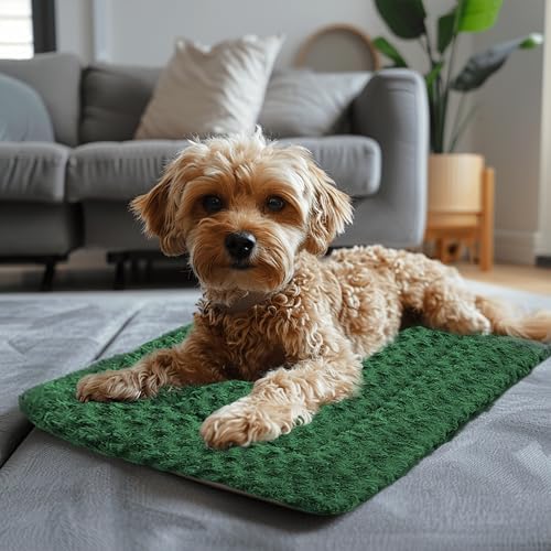 Dog Crate Pad Washable Cat Dog Pet Bed for Crate kennel Small Mat 24inGreen