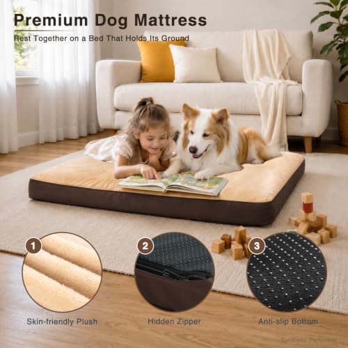 NUPIDA Waterproof Large Dog Bed for Crate with Washable Cover, 35x22, Brown