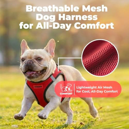 Voyager Step-in Air Dog Vest Harness - Red/Black Trim, X-Small