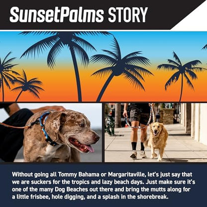 SunsetPalms Dog Leash 5/8" x4'