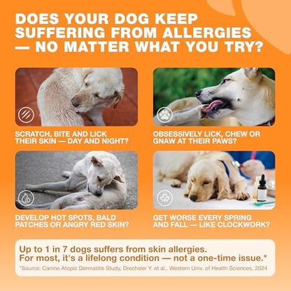 Dog Allergy Relief Chews for Itchy Skin, Licking Paws, Hot Spots & Immune