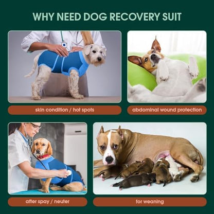 Kuoser Dog Recovery Suit, Female Male Spay Neuter Surgery Suit, Blue, XL