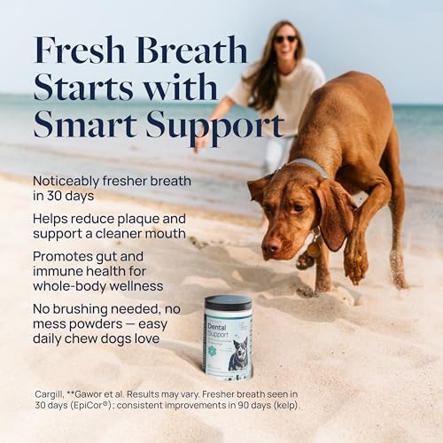 Veterinary Formula Smart Vitality Dental Support Dog Soft Chews, 60 Count