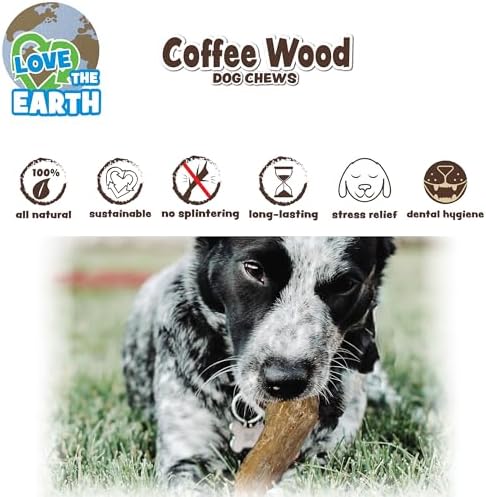 SPOT Coffee Wood Dog Chew Toy – 100% Natural & Sustainably Sourced Non-Splintering Wood from Coffee Plants, Long Lasting, Durable Toy for Aggressive Chewers, for Small Dogs and Puppies Up to 22lbs