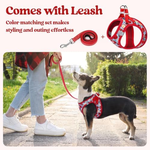rabbitgoo Dog Harness Small Sized and Leash Set, Step-in Puppy Pet Vest