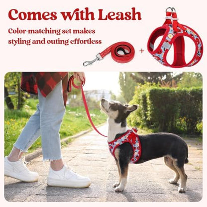 rabbitgoo Dog Harness Small Sized and Leash Set, Step-in Puppy Pet Vest