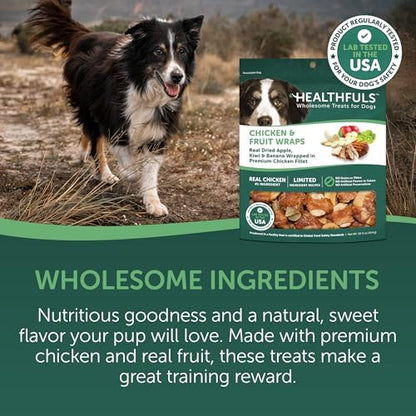 Healthfuls Chicken Wrapped Fruit Dog Treats, 16oz