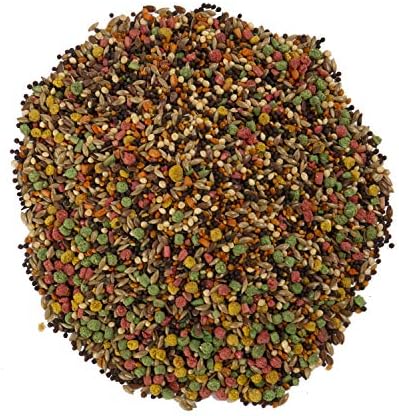 Wild Harvest Advanced Nutrition Bird Food For Canary & Finch, 2 lbs