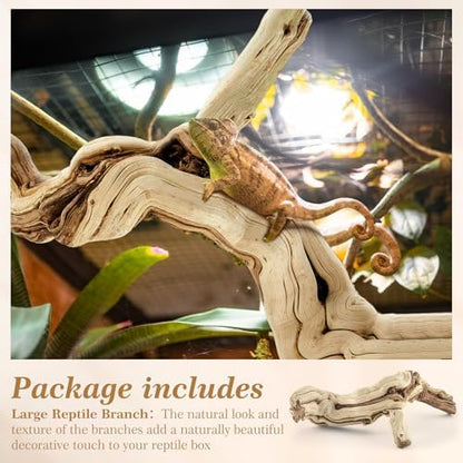 Janinka 22-24" Large Reptile Driftwood Branch for Bearded Dragon Gecko