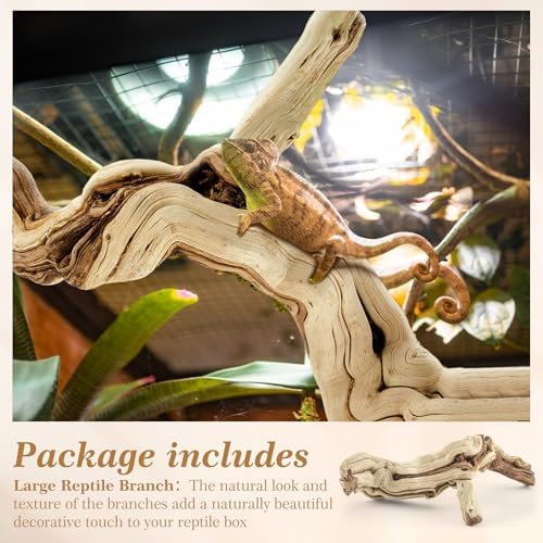 Janinka 10-12" Large Reptile Driftwood Branch for Bearded Dragon Gecko