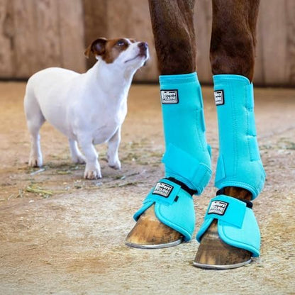 Jeffers Expression Protective Horse Boots, 1 Pair, Medium - Safe Neoprene Leg Guards, Durable Strap Closures, Front & Hind Support, Equestrian Accessories for Travel & Riding - Turquoise