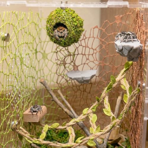 Jumping Spider Enclosure Accessories Kit - Magnetic Moss Ball Hideout, 2 Rock Ledges, Feeding Bowl, Climbing Mesh Nets & Rope Ladder - Natural Forest Habitat Decor for Regal (Moss Cave)