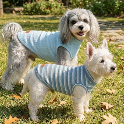 2Pack Dog Shirts Lightweight Waffle Dog Shirt for Small Dogs Sleeveless Dog Shirt for Small Medium Boy Girl Dogs Cozy & Breathable Pet Vest