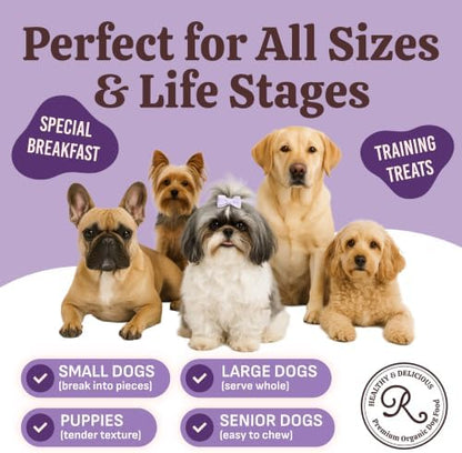 Organic Dog Pancake Mix, Chicken & Blueberry, Bone Broth