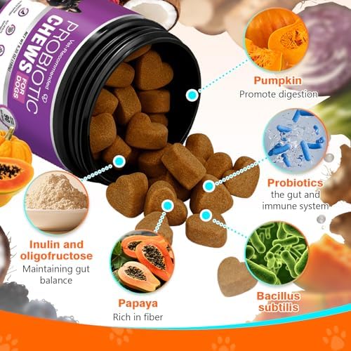 Probiotics for Dogs Dog Probiotics for Digestive Health Probiotic for Dogs Gut Health Itchy Skin Dog Probiotics for Diarrhea Dog Constipation Relief Gas for Dogs Immune Support Chicken Flavor 90ct