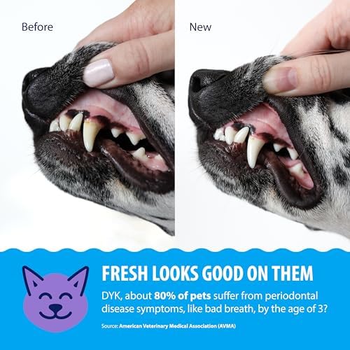 Dental Fresh Advanced Plaque & Tartar Water Additive for Dogs & Cats, 17 oz