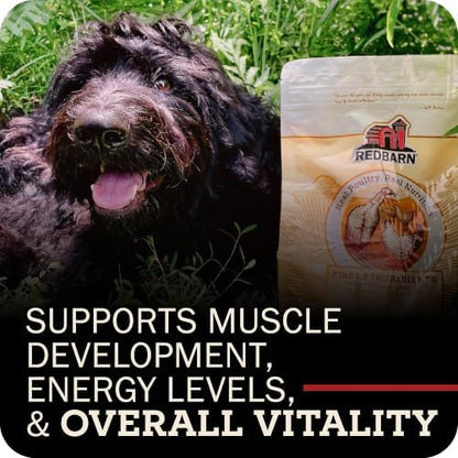 Redbarn Kibble Whole Grain Sky Recipe, Premium Dog Food, 22 lbs