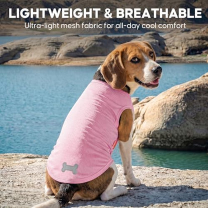 KYEESE 2Pack Dog Shirts for Small Medium Dogs Breathable Mesh Tank Top