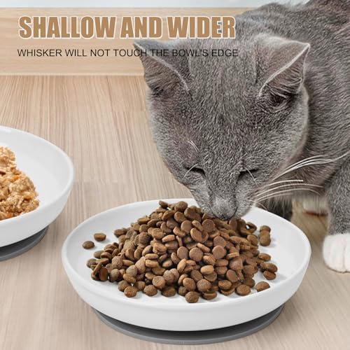 Elevated Cat Bowls with Bamboo Stand, Ceramic Raised Cat Bowl Set of 2, 5.9 Inch Whisker Friendly Anti Vomiting Cat Food Bowls for Dry and Wet Food
