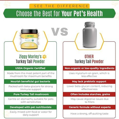 Ziggy Marley's USDA Organic Turkey Tail Mushroom Powder for Dogs & Cats – Support Immunity & Digestion – Fruiting Body Extract, 90 Grams