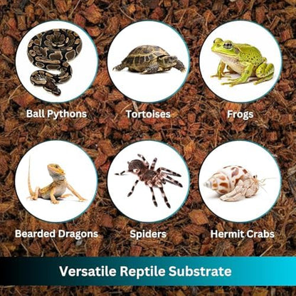 Premium Coconut Chip Substrate for Reptiles – 10 LB Block in Carton Box, Expands to 72 Quarts – Natural & Dust-Free Coco Husk Bedding for Ball Python, Bearded Dragon, Tortoise & Gecko