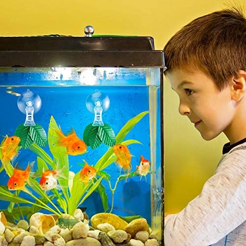 Jetec 8 Pieces Fish Seaweed Clip Plant Suction Cup with Clip Feed Holder for Aquarium Fish Tank Accessories