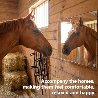 U0U Acrylic Horse Mirror,Safe Horse Toys for Horses to Play with,16.92x12.99 inch Stable Mirror for Horses to Play and Horse Enrichment Toys (16.92 x 12.99 inches/1pcs)
