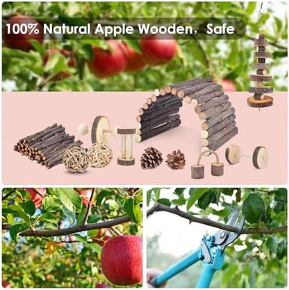 ERKOON 11 Pack Chinchillas Chew Toys, Toys Accessories for Teeth Care, Natural Apple Wood Ladder Bell Roller for Russian Hamster Gerbils Rats Guinea Pigs (11PCS)