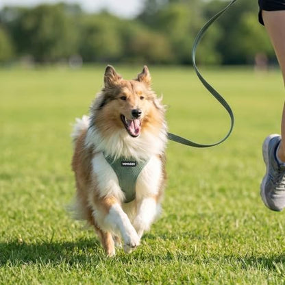 Best Pet Supplies Voyager Step-in Air All Weather Mesh Harness and Reflective Dog 5ft Leash Combo with Neoprene Handle, for Small, Medium and Large Breed Puppies - Moss Green, Large