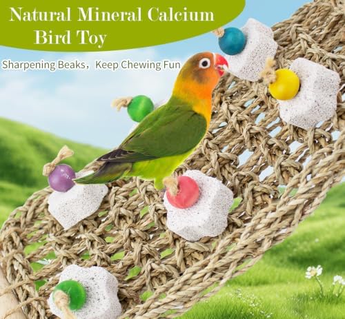 FlidRunest Conure Seagrass Mat with Grinding Calcium Stone Chewing Toy | Parrot Beak Grinding Stone and Seagrass Ladder Bridge Stands, Hand-Woven Net Climbing Net for Budgie Parakeet