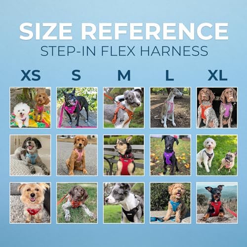 Voyager Step-in Flex Adjustable Dog Harness - Orange, X-Small