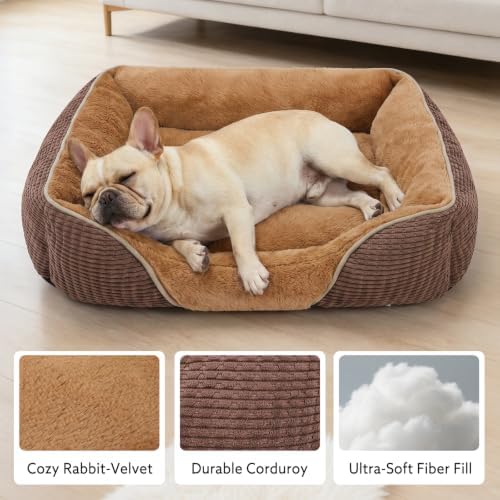 MIXJOY Dog Beds for Medium Dogs Washable, Rectangle Pet Bed Medium Size Dog, Orthopedic Sleeping Pet Sofa Bed, Soft Calming Cat Beds for Indoor Cats, Anti-Slip Bottom with Multiple Size