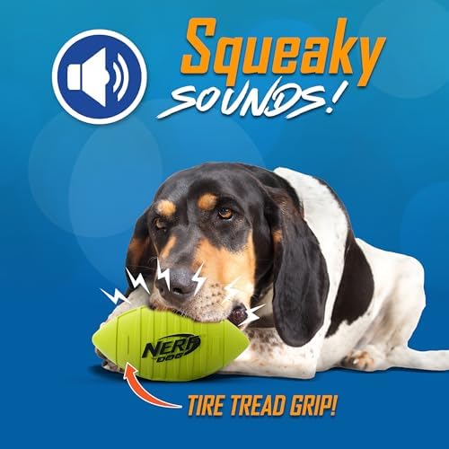 Nerf Dog Blitz Squeak Football Outdoor Dog Toy, 7 Inch Dog Football Squeaking Toy for Medium and Large Breeds, Green
