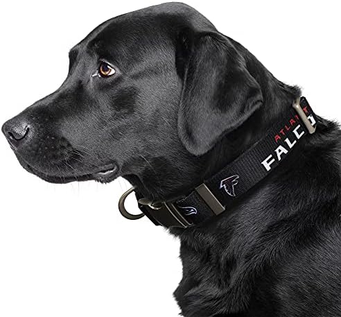 Littlearth NFL Detroit Lions Pet Premium Collar, Team Color, Small