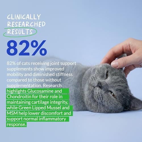 Hip & Joint Powder for Cats - Glucosamine, MSM & Green Lipped Mussel