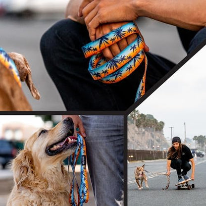 SunsetPalms Dog Leash 5/8" x4'