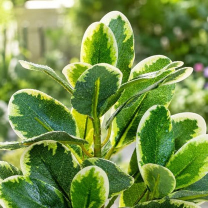 EupHHonycs Reptile Plants Artificial Leaves Reptile Tank Decorations